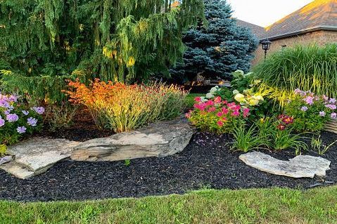7 helpful landscaping tips you need to know for your yard